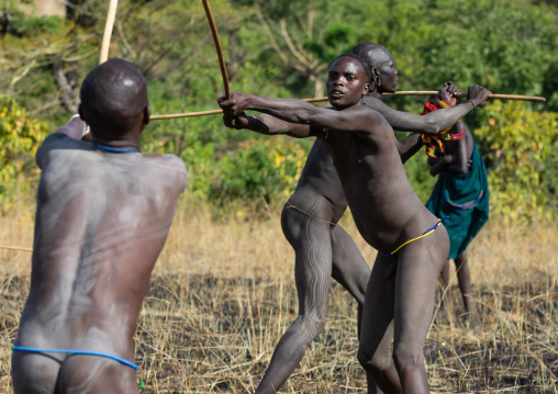 Suri tribe warriors fighting during a donga stick ritual, Omo valley, Kibish, Ethiopia