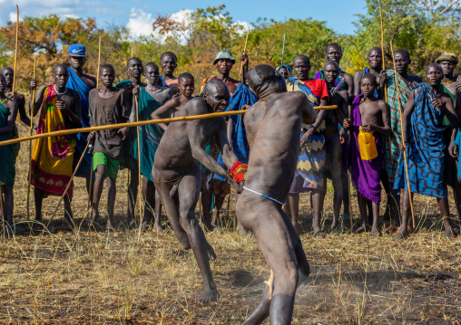 Suri tribe warriors fighting during a donga stick ritual, Omo valley, Kibish, Ethiopia