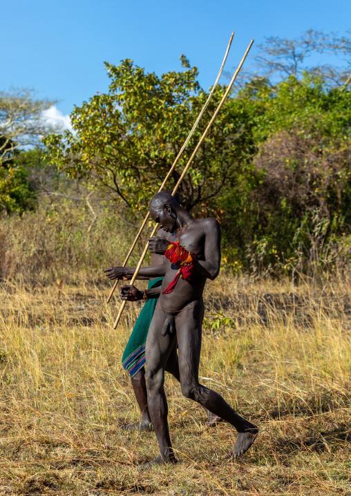 Suri tribe warriors parading during a donga stick fighting ritual, Omo valley, Kibish, Ethiopia