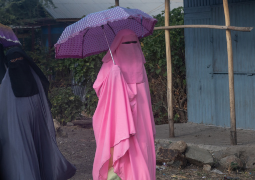 Oromo woman wearing a pink burqa in the market, Amhara region, Senbete, Ethiopia
