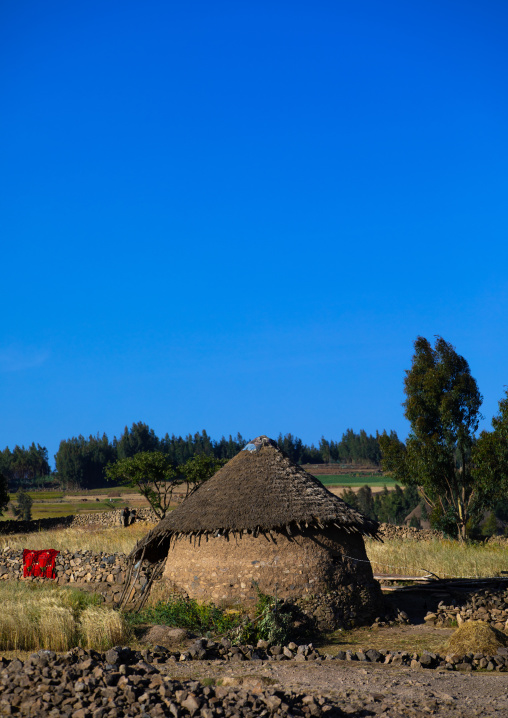 Tukul in the highlands, Amhara region, Weldiya, Ethiopia