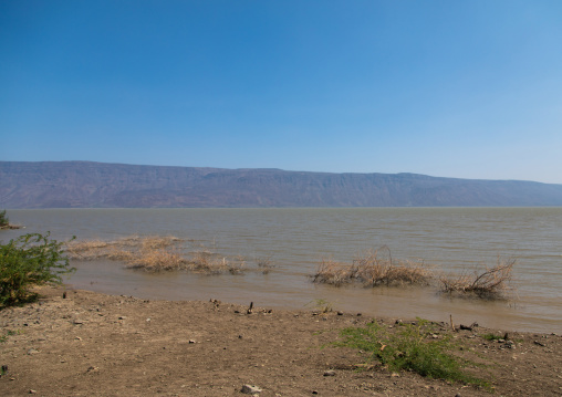 Afambo lake, Afar Region, Afambo, Ethiopia