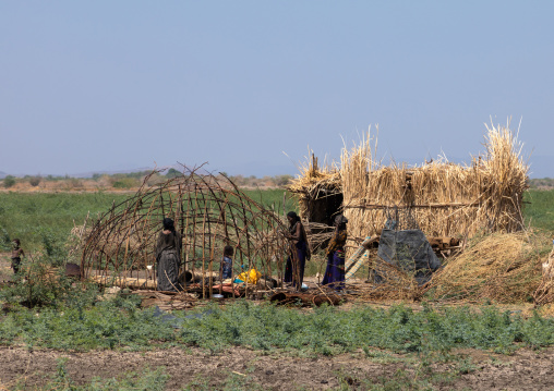 Afar people building a hut, Afar Region, Afambo, Ethiopia