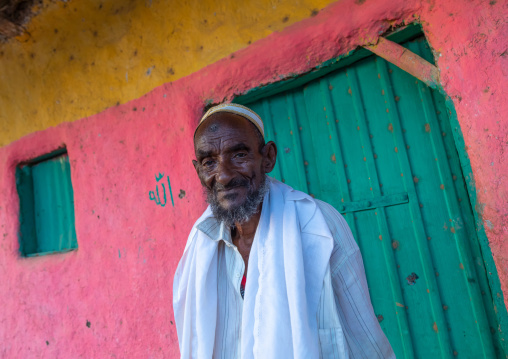 Portrait of an old afar tribe man in front of a pink house, Afar Region, Afambo, Ethiopia