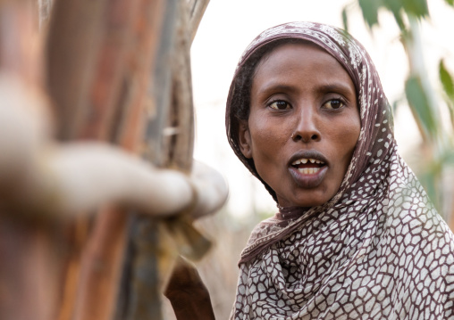 Portrait of an afar tribe woman with sharpened teeth, Afar Region, Afambo, Ethiopia