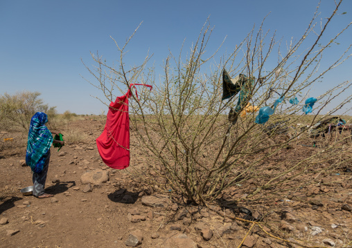 Somali woman drying clothes in an arid area, Afar Region, Gewane, Ethiopia