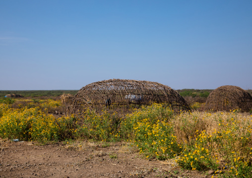 Afar tribe hut wooden structure, Afar region, Mileso, Ethiopia