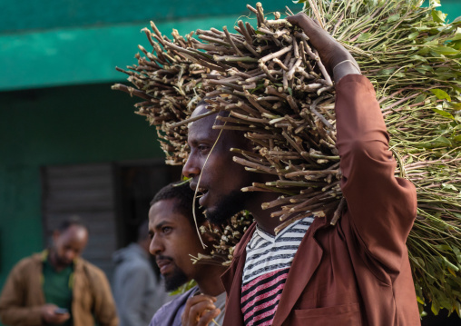 Man passing with a huge ball of khat, Harari Region, Harar, Ethiopia