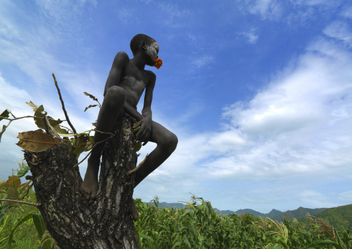 Suri boy sitting on a stump, Turgit village, Omo valley, Ethiopia