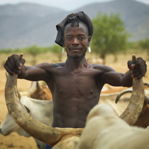 Proud tsemay tribe man holding a buffalo by its horns, Omo valley, Ethiopia
