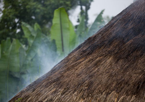 Smoking Tukul Roof Of A House, Hossana, Omo Valley, Ethiopia