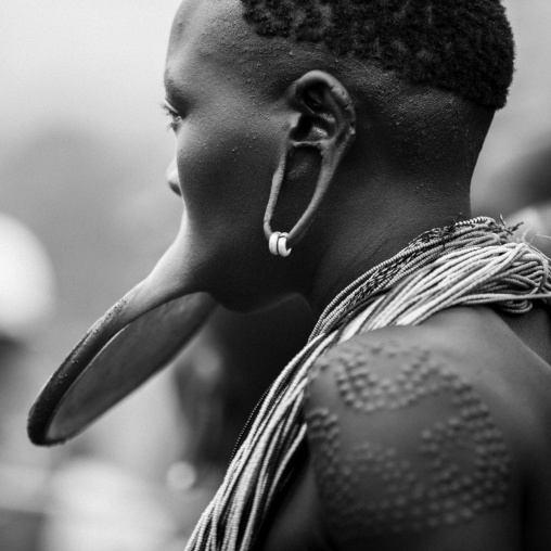 Suri tribe woman with lip plate, Enlarged earlobe and scarifications, Kibish, Omo valley, Ethiopia