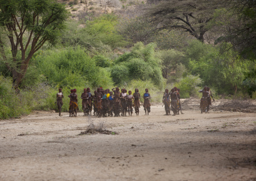 Hamar Tribe People Gathering For A Bull Jumping Ceremony, Turmi, Omo Valley, Ethiopia