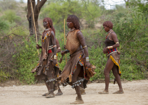 Hamar Tribe Women Dancing At A Bull Jumping Ceremony, Turmi, Omo Valley, Ethiopia