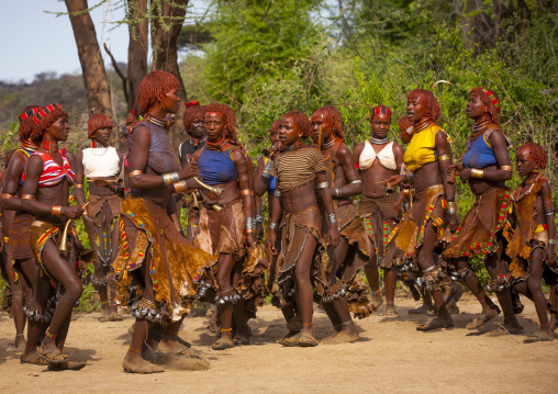Hamer Tribe Women Dancing During Bull Jumping Ceremony, Turmi, Omo Valley, Ethiopia