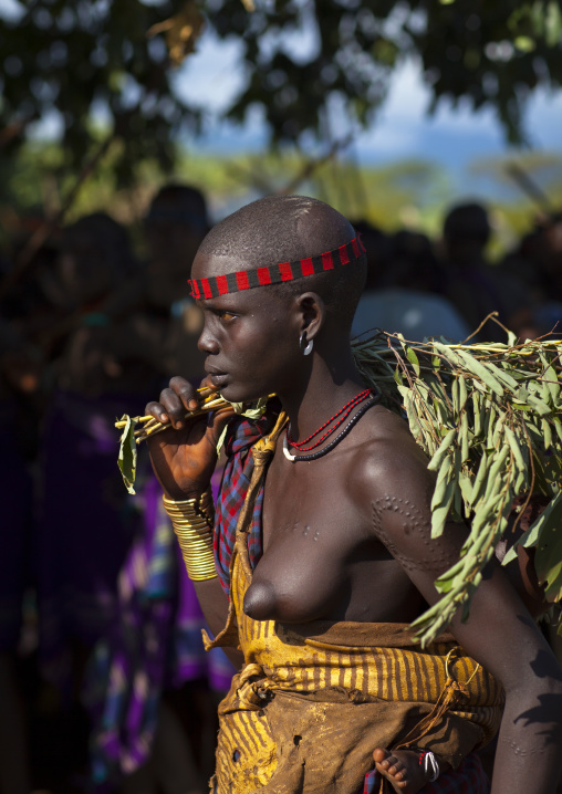Bodi Tribe People Celebrating The Kael Ceremony, Hana Mursi, Omo Valley, Ethiopia
