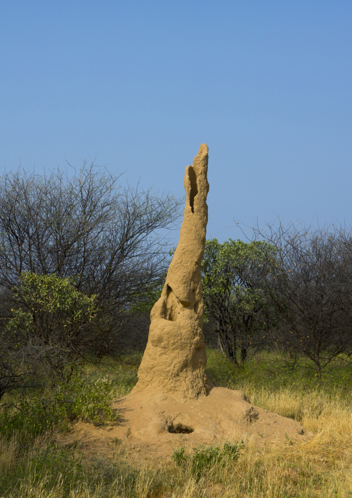 Termite Mound, Dimeka, Omo Valley, Ethiopia