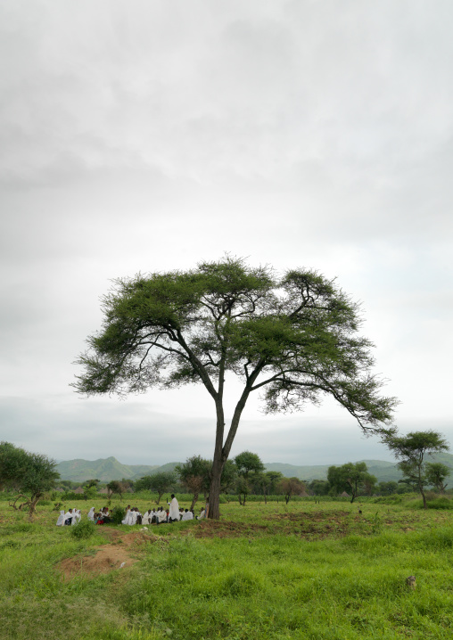 People people praying near a tree in green landscape Ethiopia