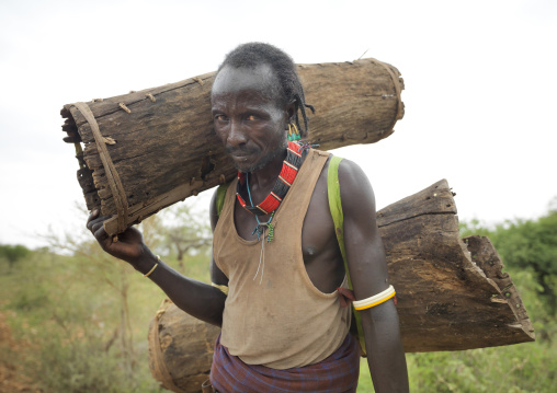 Hamer Man Collecting Honey With Emptied Tree Trunks Ethiopia