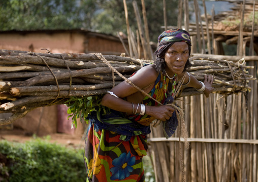 Borana Tribe Woman Carrying Wood, Yabello, Omo Valley, Ethiopia