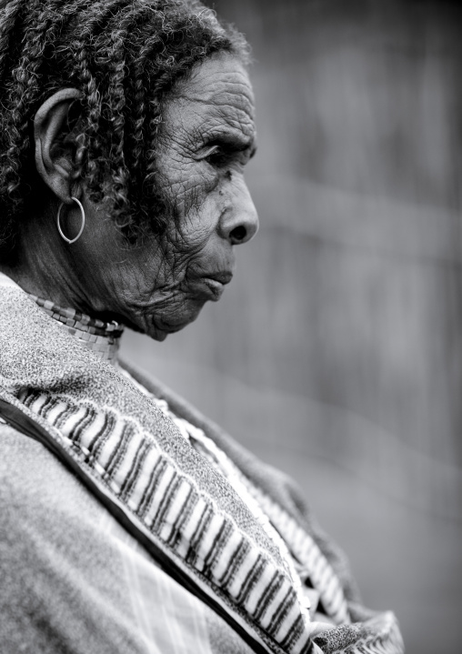 Profile Portrait Of Senior Braided Hair Borana Tribe Woman, Omo Valley, Ethiopia