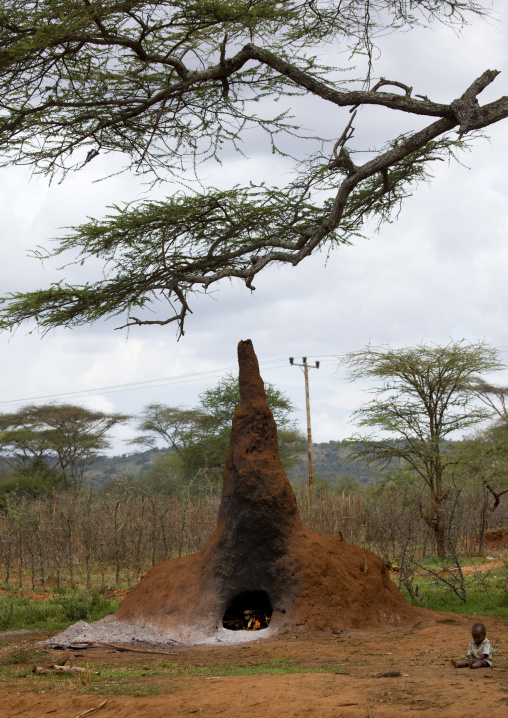 Oven Made Out Of A Termite Mount, Yabello, Omo Valley, Ethiopia