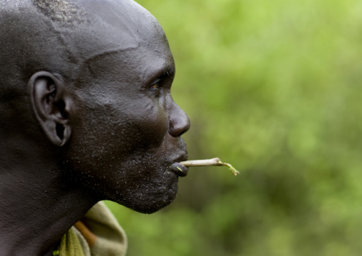 Portrait Of A Mursi Tribe Man Chewing A Gima Stick, Omo Valley, Ethiopia
