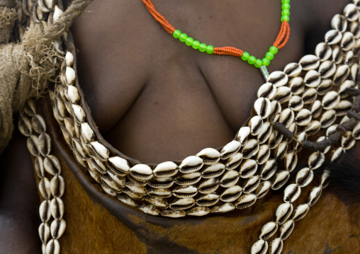 Close Up On The Chest Of Hamar Tribe Woman With Shell Necklace, Omo Valley, Ethiopia