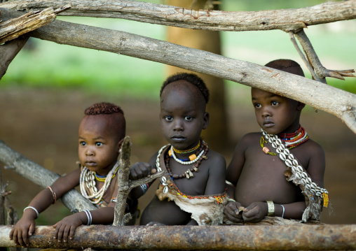Hamar Tribe Kids With Traditional Necklaces Behind A Wooden Fence, Turmi, Omo Valley, Ethiopia