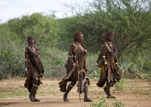 Hamar Tribe Women In Traditional Clothing Walking, Turmi, Omo Valley, Ethiopia