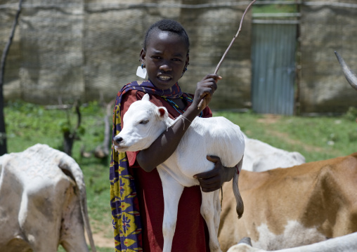 Oromo Tribe Boy Holding A Calf In His Arms, Harar, Ethiopia