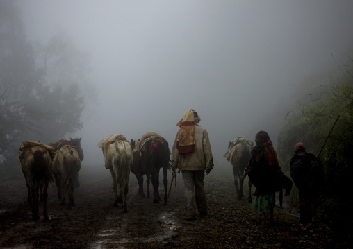 Dorze tribe people and their horses walking in the fog, Chencha, Ethiopia