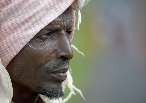 Profile portrait of old man from gabrah tribe, Yabello, Omo valley, Ethiopia
