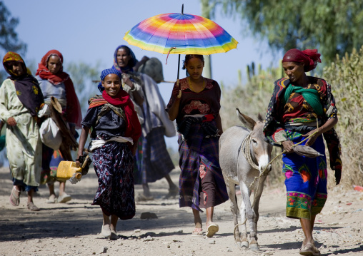 Women going to marlet, Bati, Danakil, Ethiopia
