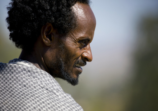 Afar tribe man profile, Bati, Amhara region, Ethiopia