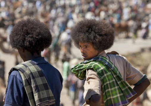 Afar men, Bati, Amhara region, Ethiopia