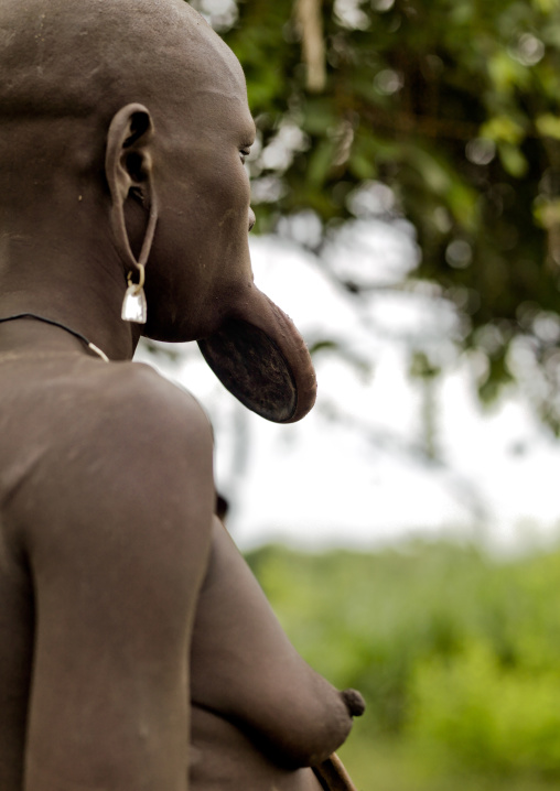 Portrait Of A Mursi Tribe Woman With Lip Plate And Enlarged Ears In Mago National Park, Omo Valley, Ethiopia