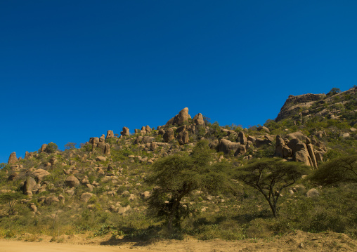 Phallic Rocks At The Valley Of Marvels, Babile, Ethiopia