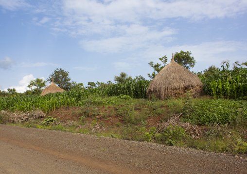 Menit tribe huts, Jemu, Omo valley, Ethiopia