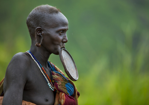 Waist up portrait of a Suri tribe woman with a lip plate, Kibish, Omo valley, Ethiopia