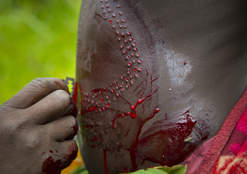 Detail of a scarification ceremony on a Suri tribe girl with her belly covered by blood, Tulgit, Omo valley, Ethiopia