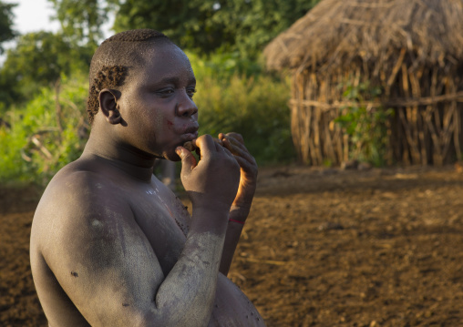 Bodi Tribe Man Cleaning His Teeth With A Stick After Preparing For Kael New Year Ceremony, Hana Mursi, Omo Valley, Ethiopia