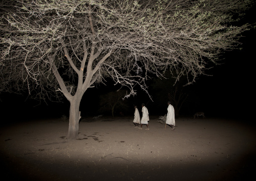 Night Shot Of Three Karrayyu Tribe Men Under A Tree During Gadaaa Ceremony, Metehara, Ethiopia