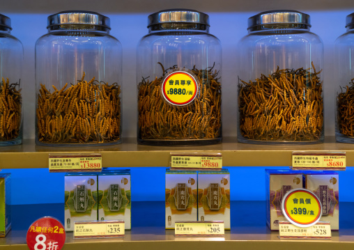 Caterpillar fungus for sale in a shop, Kowloon, Hong Kong, China