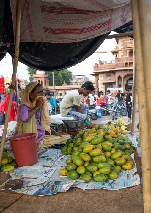 Fresh mangoes in indian vegetable market, Rajasthan, Jodhpur, India
