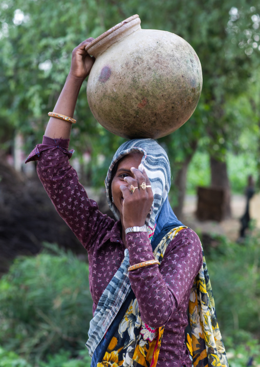 Portrait of a rajasthani woman in traditional sari carrying a jar on her head, Rajasthan, Baswa, India