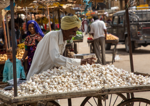 Old indian man selling garlic in a market, Rajasthan, Jaisalmer, India