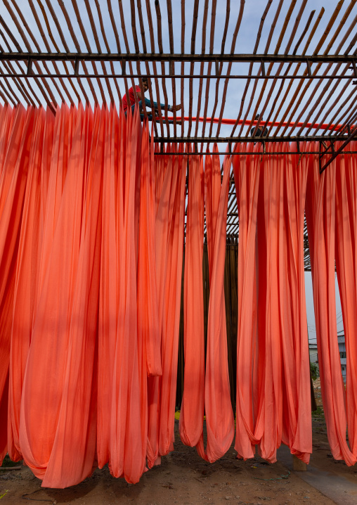 Indian workers drying orange sarees, Rajasthan, Sanganer, India