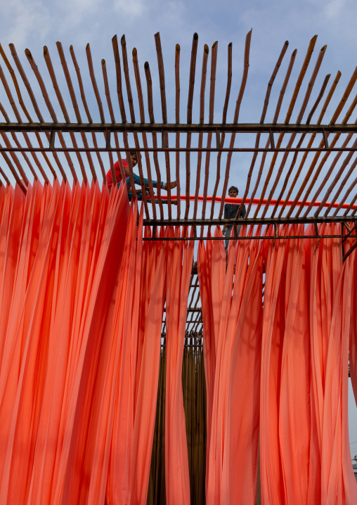 Indian workers drying orange sarees, Rajasthan, Sanganer, India