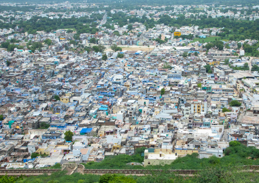 The blue city seen from Chittorgarh fort, Rajasthan, Chittorgarh, India